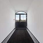 Strandhafer Rosenhagen Bei Travemuende *