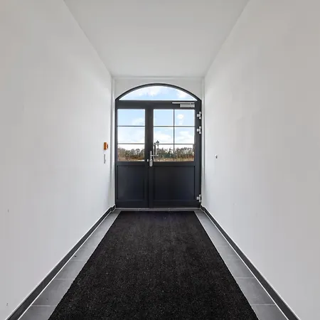 Strandhafer Rosenhagen Bei Travemuende *