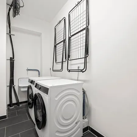 Strandhafer Rosenhagen Bei Travemuende *